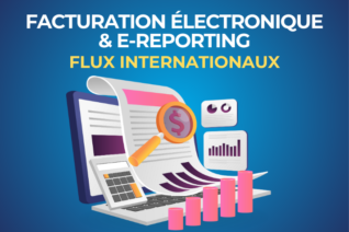 formation e-reporting
